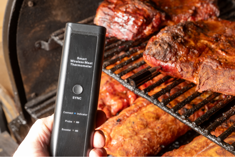 GrillSpyk Thermometer Set